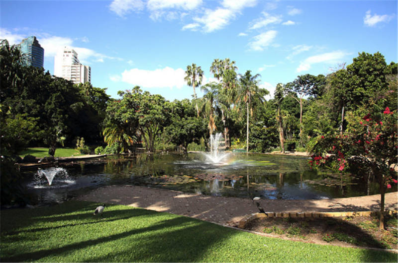 Brisbane Botanic Gardens